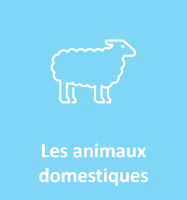 Icone animaux domestiques