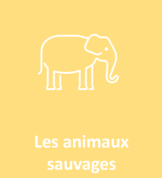 Icone animaux sauvages